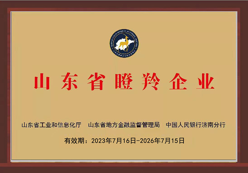 山东省瞪羚企业